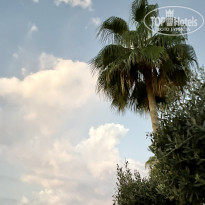 фото из отзыва ID 2731542