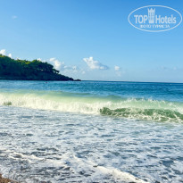 фото из отзыва ID 2731542