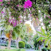 фото из отзыва ID 2731542