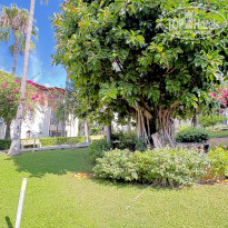 фото из отзыва ID 2731542