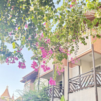 фото из отзыва ID 2731542