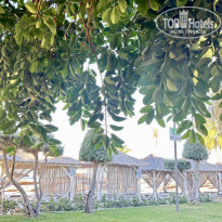 фото из отзыва ID 2731542