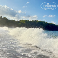 фото из отзыва ID 2731542