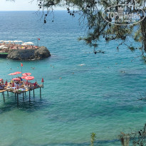 фото из отзыва ID 2731581