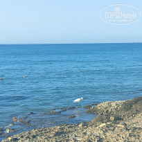 фото из отзыва ID 2731581