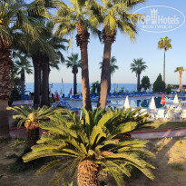 фото из отзыва ID 2731581