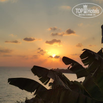 фото из отзыва ID 2731581