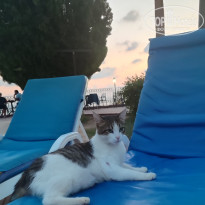 фото из отзыва ID 2731581