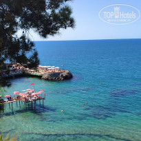 фото из отзыва ID 2731581