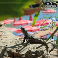 фото из отзыва ID 2731581