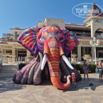 фото из отзыва ID 2731596