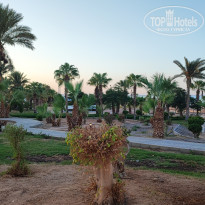 фото из отзыва ID 2731606