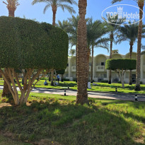 фото из отзыва ID 2731198