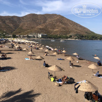 фото из отзыва ID 2731622