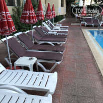 фото из отзыва ID 2731622