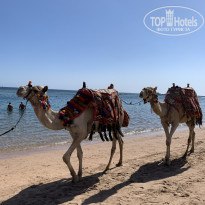 фото из отзыва ID 2731635