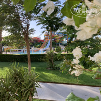 фото из отзыва ID 2731635