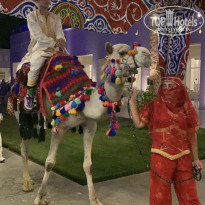 фото из отзыва ID 2731635