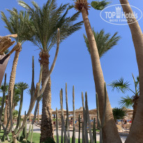 фото из отзыва ID 2731635