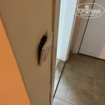 фото из отзыва ID 2731636