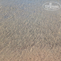 фото из отзыва ID 2731637