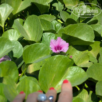 фото из отзыва ID 2731637