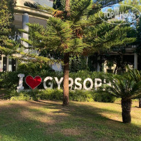 фото из отзыва ID 2731632