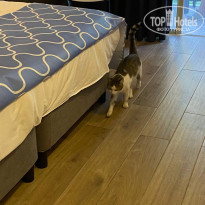 фото из отзыва ID 2731632