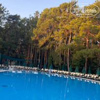 фото из отзыва ID 2731632