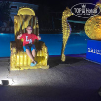 фото из отзыва ID 2731632