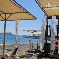 фото из отзыва ID 2731642