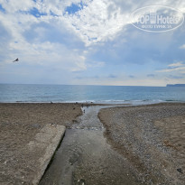 фото из отзыва ID 2731642