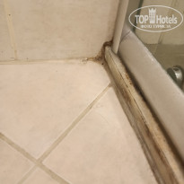 фото из отзыва ID 2731641