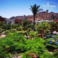 фото из отзыва ID 2731645