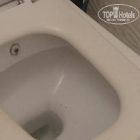 фото из отзыва ID 2731646