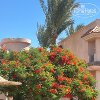 фото из отзыва ID 2731692