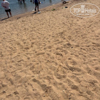 фото из отзыва ID 2731692