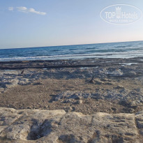 фото из отзыва ID 2730580