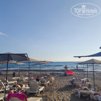 фото из отзыва ID 2730580