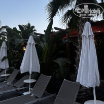 фото из отзыва ID 2731698