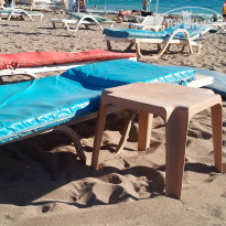 фото из отзыва ID 2731705