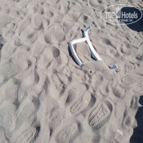 фото из отзыва ID 2731705