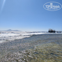 фото из отзыва ID 2731710