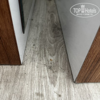 фото из отзыва ID 2731717