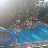 фото из отзыва ID 2731724