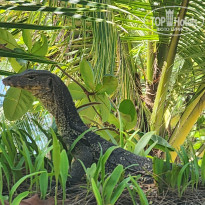 фото из отзыва ID 2731726