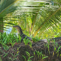 фото из отзыва ID 2731726