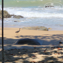 фото из отзыва ID 2731726