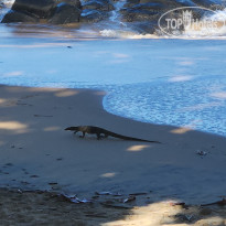 фото из отзыва ID 2731726