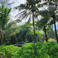 фото из отзыва ID 2731726